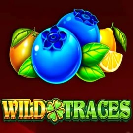 Wild Traces online slot from Amusnet Interactive – play at glorioncasino.eu.com